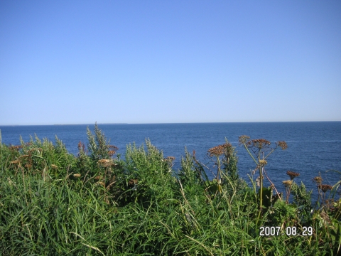 s_PICT0474.jpg